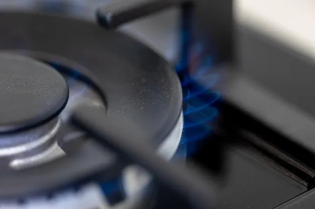Küçükçekmece Ankastre Gaz Kesilme Sorunu
